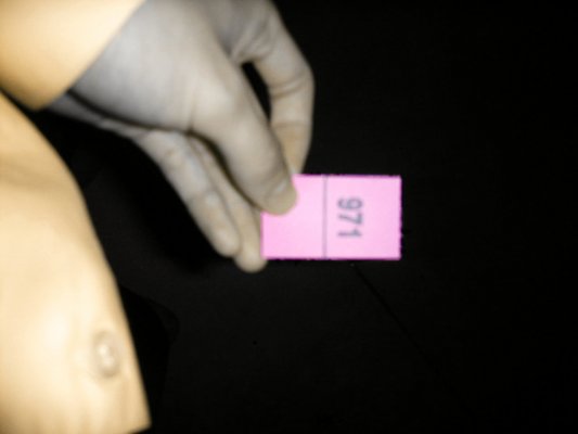 Cliquez pour voir l'image en taille relle